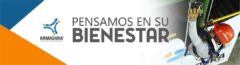 Armadura - Imagen 5