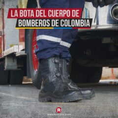 Robusta - Imagen 14