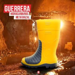 Robusta - Imagen 17