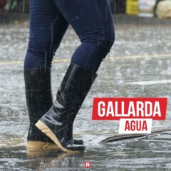 Robusta - Imagen 5