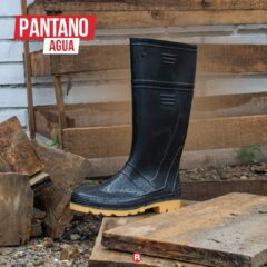 Robusta - Imagen 6