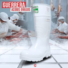 Robusta - Imagen 7