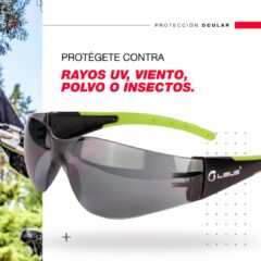 Listados De Productos Mundolibus - Imagen 25