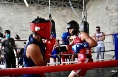 Productos Para Deporte - Imagen 36