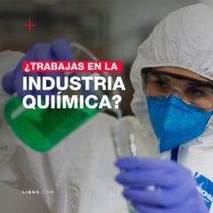 Listados De Productos Mundolibus - Imagen 45