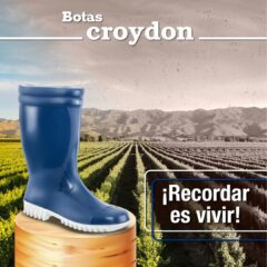 Listado De Productos Croydon - Imagen 13