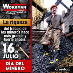 Listado De Productos Croydon - Imagen 26