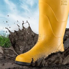 Listados De Productos Venus