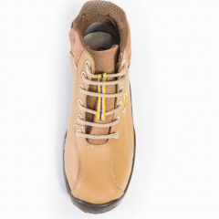 Raider Zipper Oro - Robusta