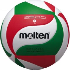 Balón Minivoleibol Laminado Cuero Pu
