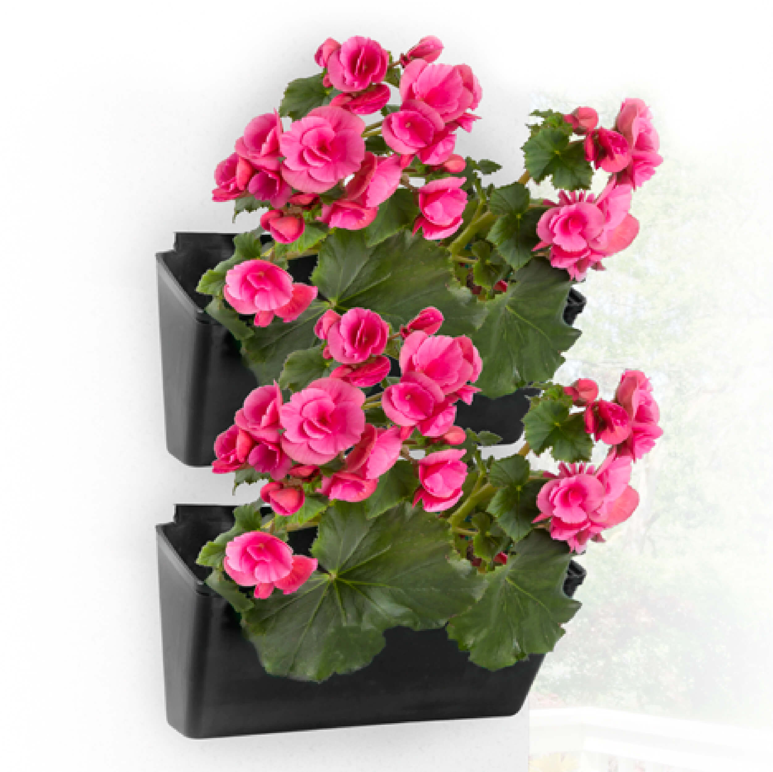 Matera Jardines Verticales