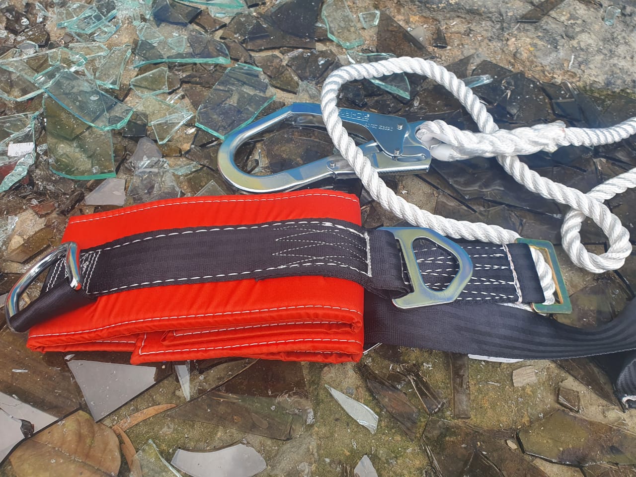 Cinturón De Seguridad