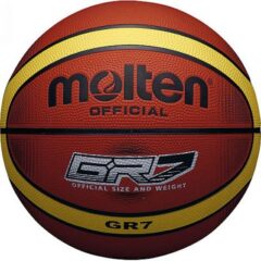 Balón Baloncesto 12 Paneles