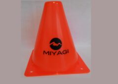 Cono Plastico 15cms Sencillo Mi Naranja M8605-6 Miyagi
