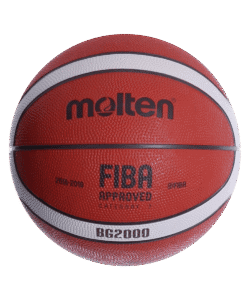 fiba (2)