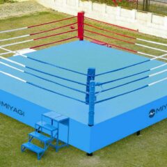 Ring De Boxeo Miyagi 24 Pies