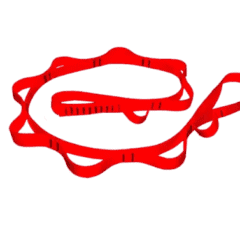 Anclaje Cinta Daisy 305-01-Dei Xp