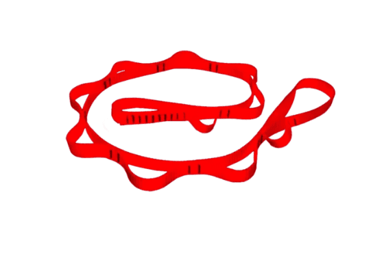 Anclaje Cinta Daisy 305-01-Dei Xp