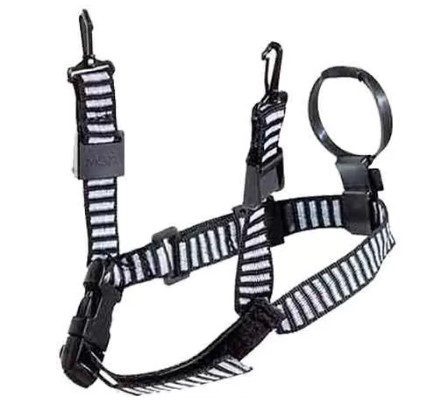 Barbuquejo 3 Puntos Con Mentonera En Reata Hebillas De Ajuste Msa