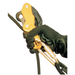 Descensor Anthron Kpn