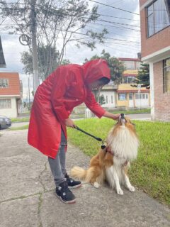 Abrigo O Gabardina Sencillo Impermeable Pvc