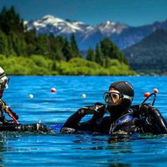 BUCEO